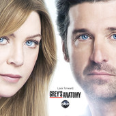Grey's Anatomy - Grey's Anatomy, Season 9 artwork